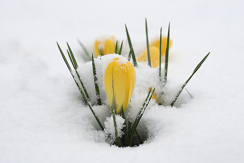 Spring Market is Here NOW!