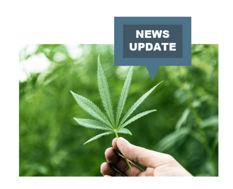 Cannabis Legalization and Real Estate Disclosure Requirements