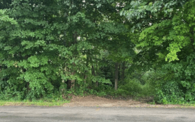 SOLD! Vacant Land Chantler Rd.