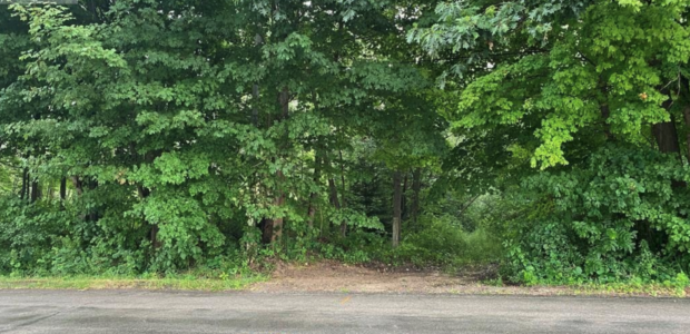 SOLD! Vacant Land Chantler Rd.